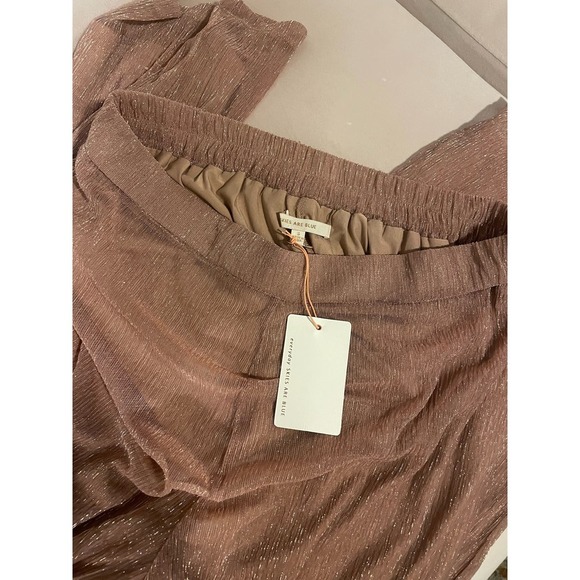 NWT Skies Are Blue Dusty Pink "Rose" Metallic Mesh Wide Leg Lined Pants Small - Picture 7 of 8
